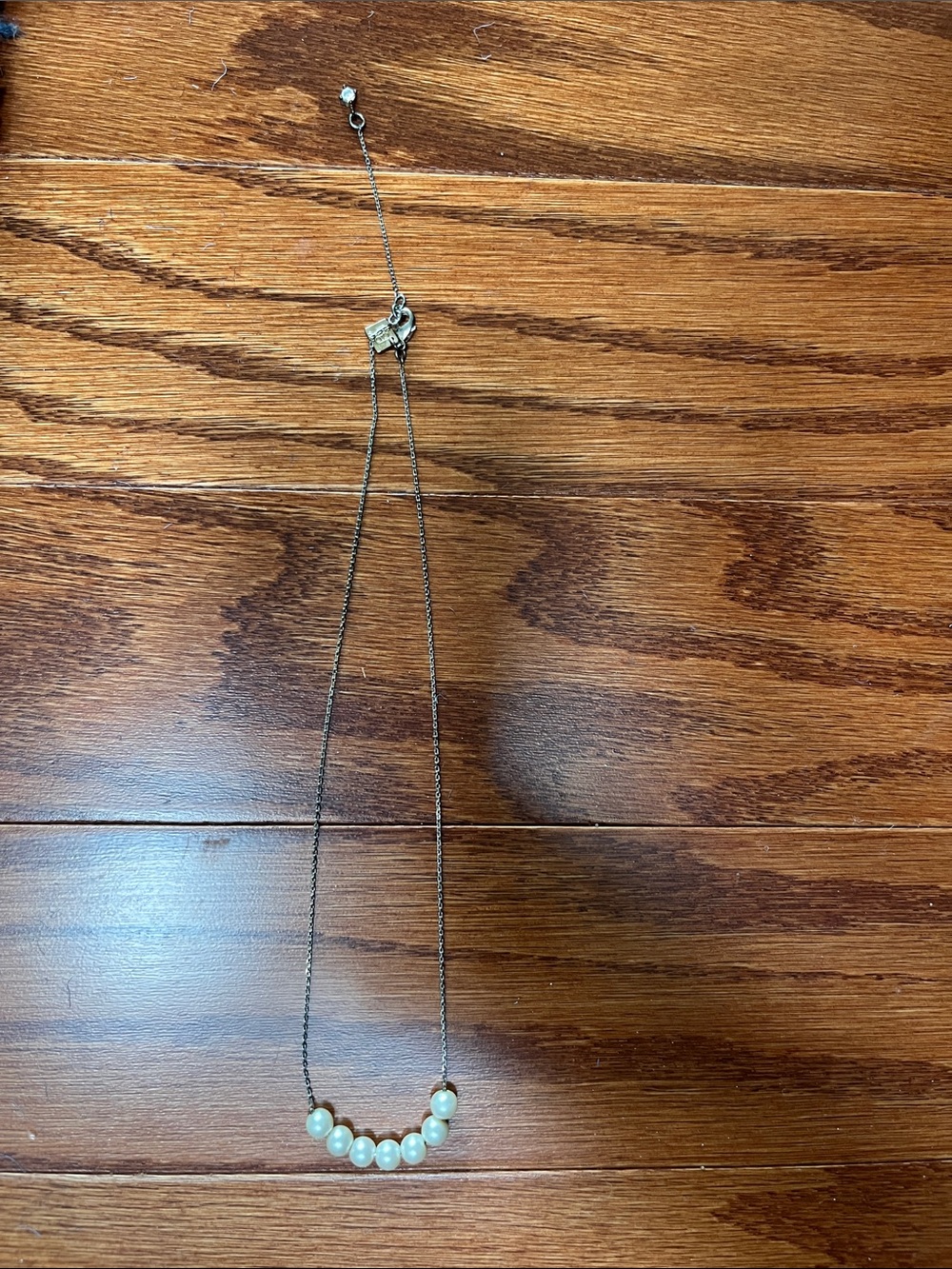 Banana Republic Necklace